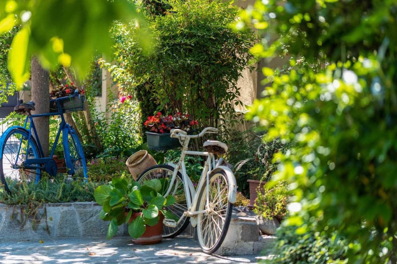 Villa Mery Casale Monferrato Eksteriør billede
